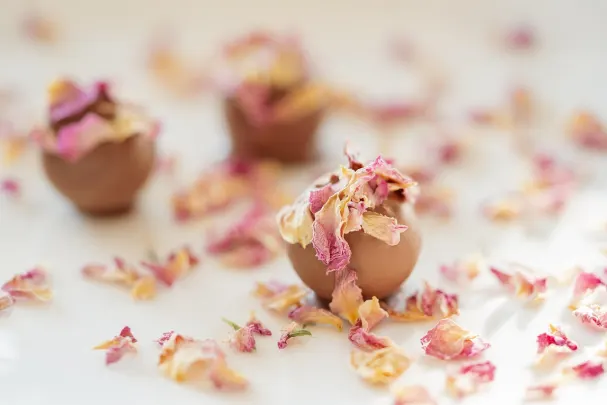 Casino Paradise Win Aip Android/iOS